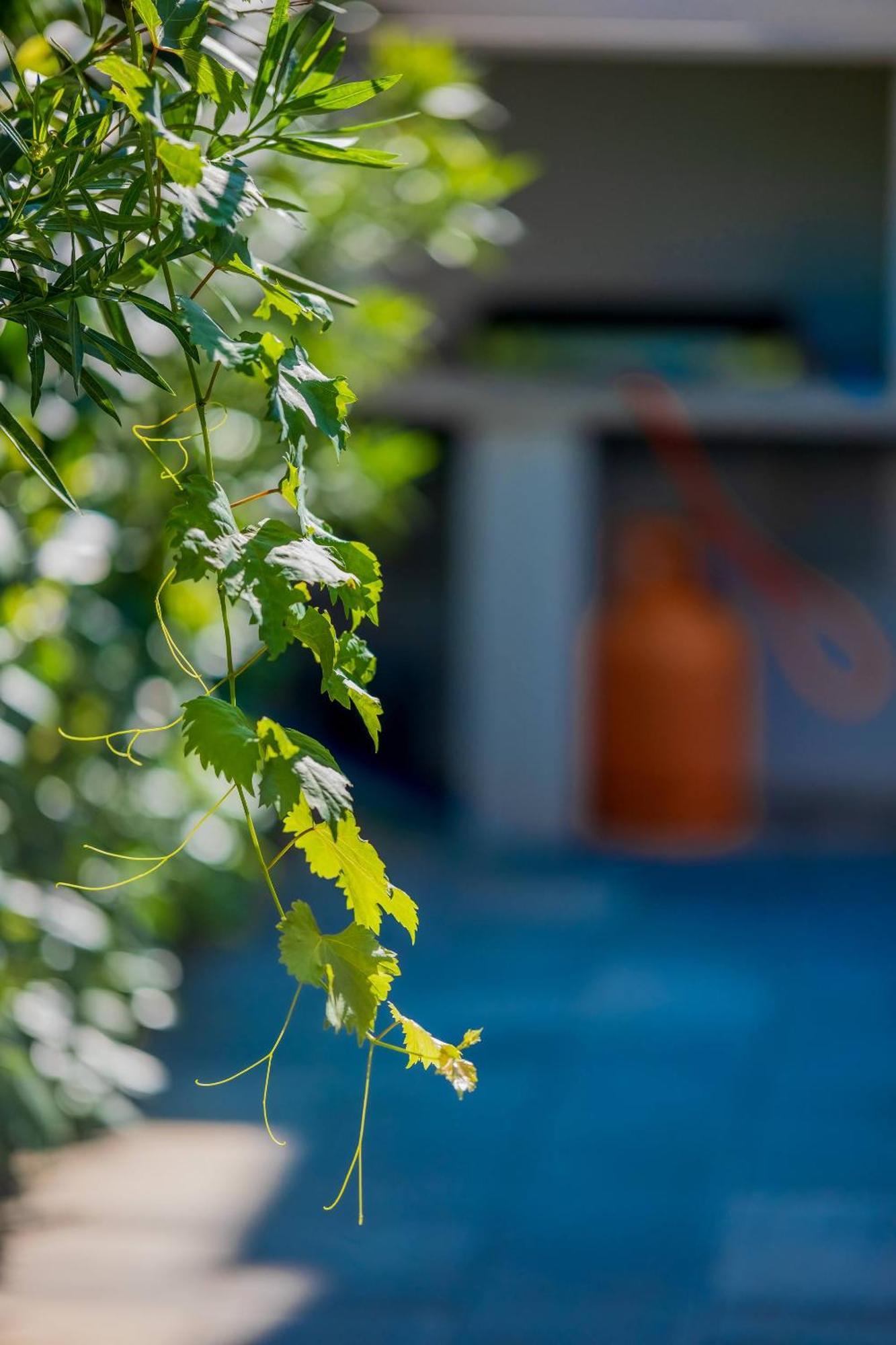 Villa Essenza - Luksuzne Kuce Za Odmor Vodice Luaran gambar